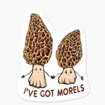 Nice Enough Stickers Sticker: I've Got Morels - 3"