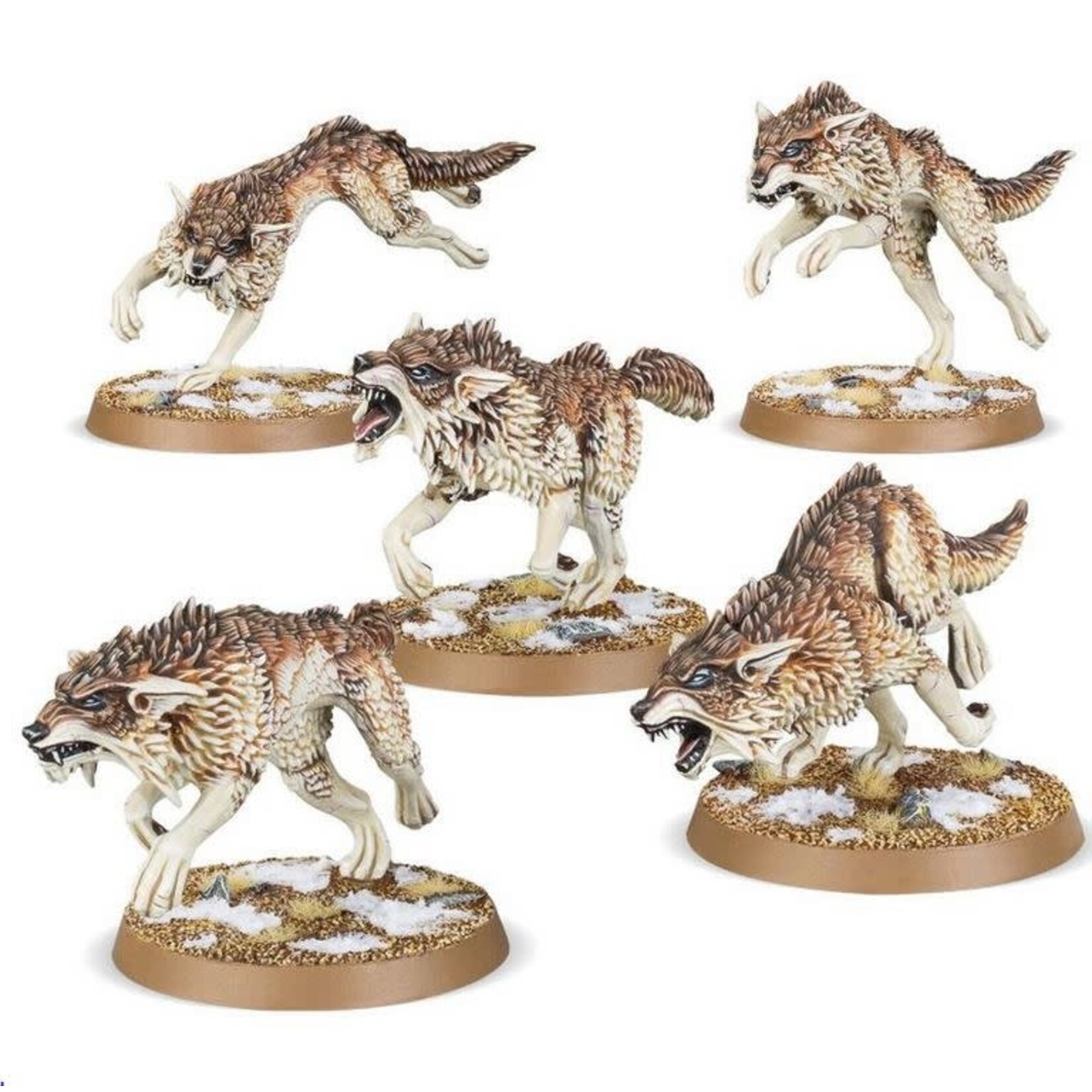 40K: Space Marines - Space Wolves: Fenrisian Wolves