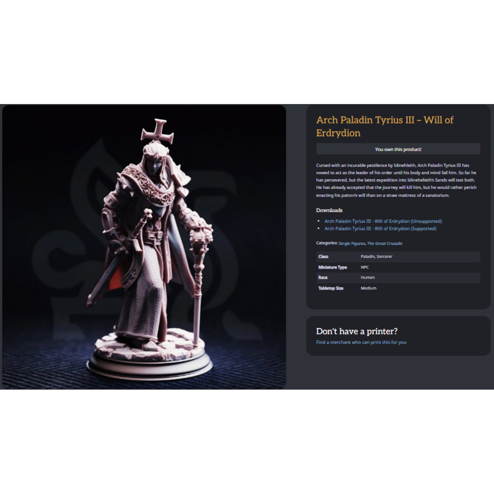 DM Stash 3D Printed Mini - Arch Paladin Tyrius III - Will of Erdrydion - Small