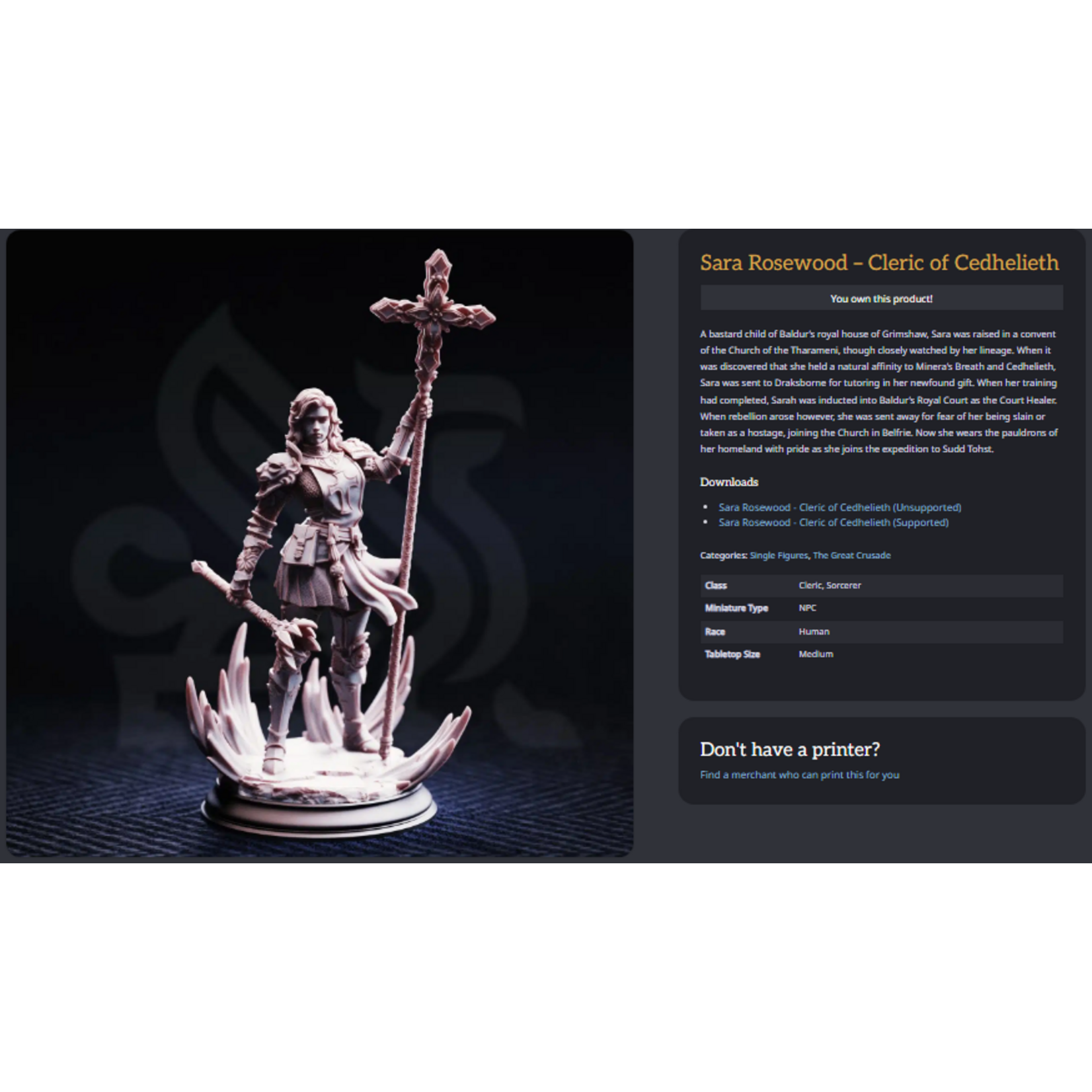 DM Stash 3D Printed Mini - Sara Rosewood - Cleric of Cedhelieth - Small