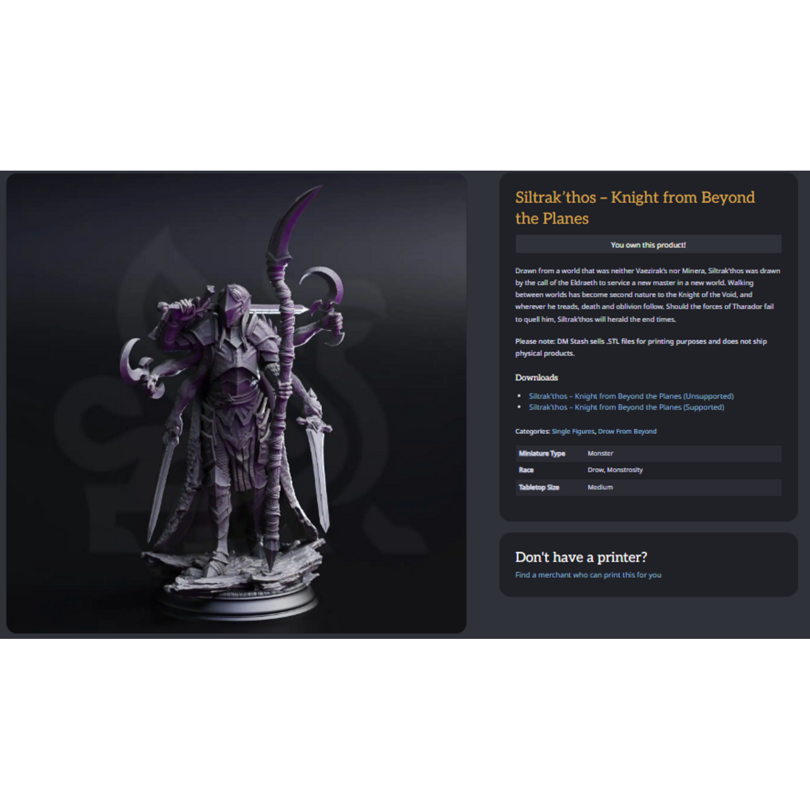 DM Stash 3D Printed Mini - Siltrak'thos - Knight from Beyond the Planes
