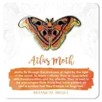 Botanical Bright Enamel Pin - Atlas Moth