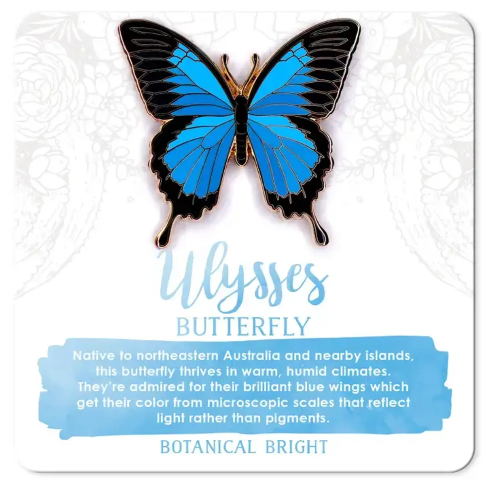 Botanical Bright Enamel Pin - Ulysses Butterfly