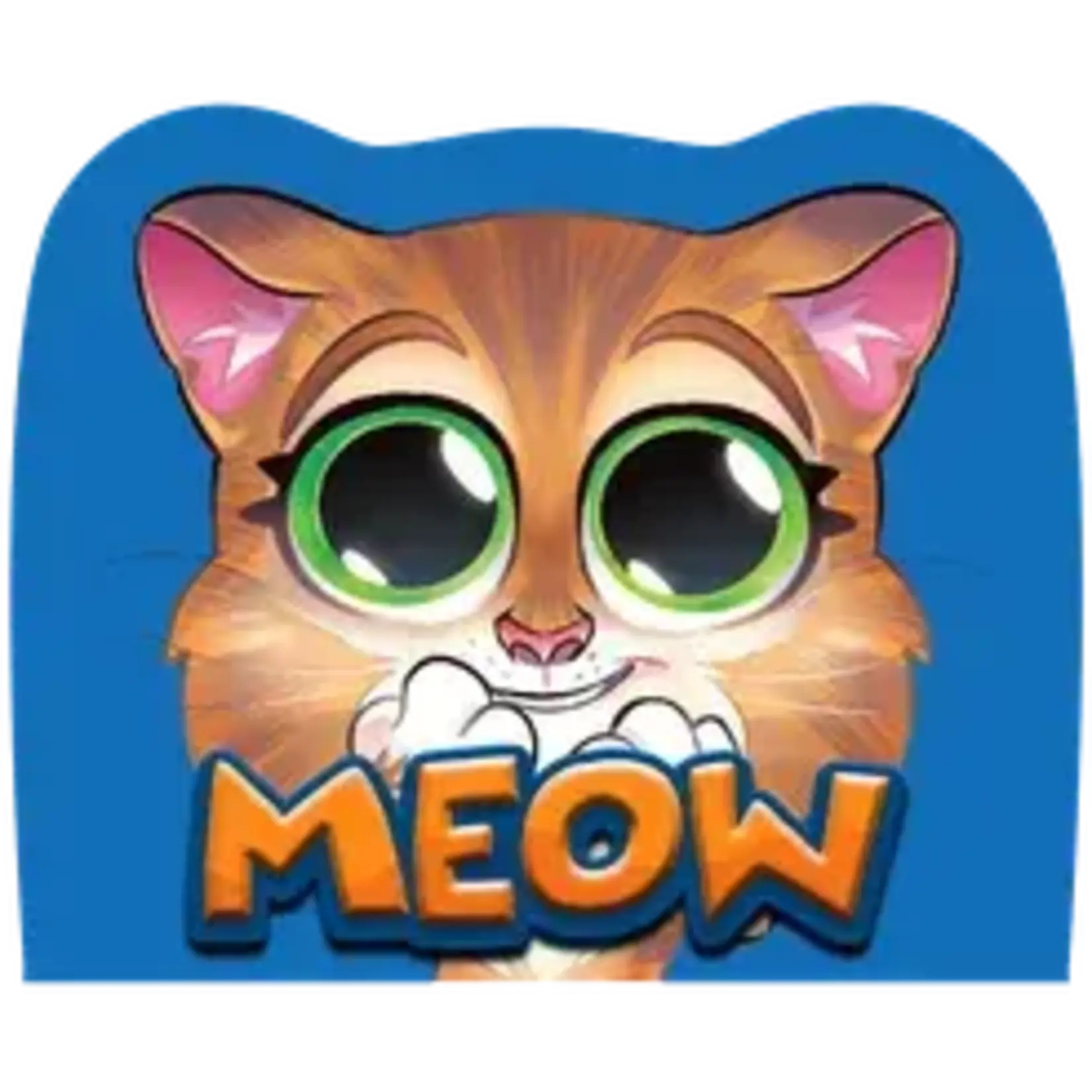 #11018 Meow Dragon Cache Used Game