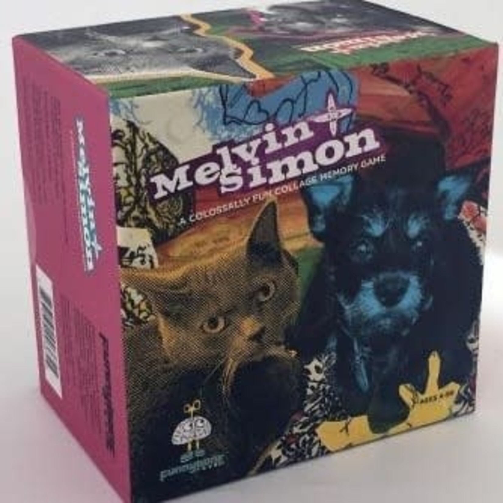 #11015 Melvin & Simon: Memory Game Dragon Cache Used Game