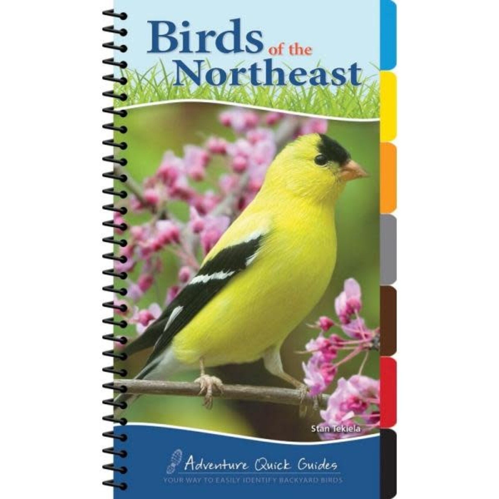 Adventure Keen Birds of the Northeast Quick Guide