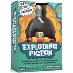 #10981 Exploding Pigeon Dragon Cache Used Game