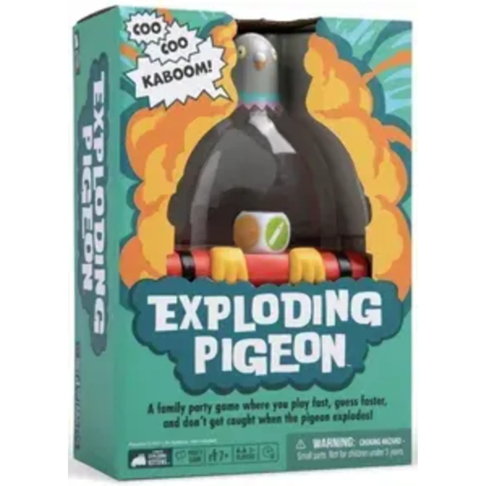 #10981 Exploding Pigeon Dragon Cache Used Game