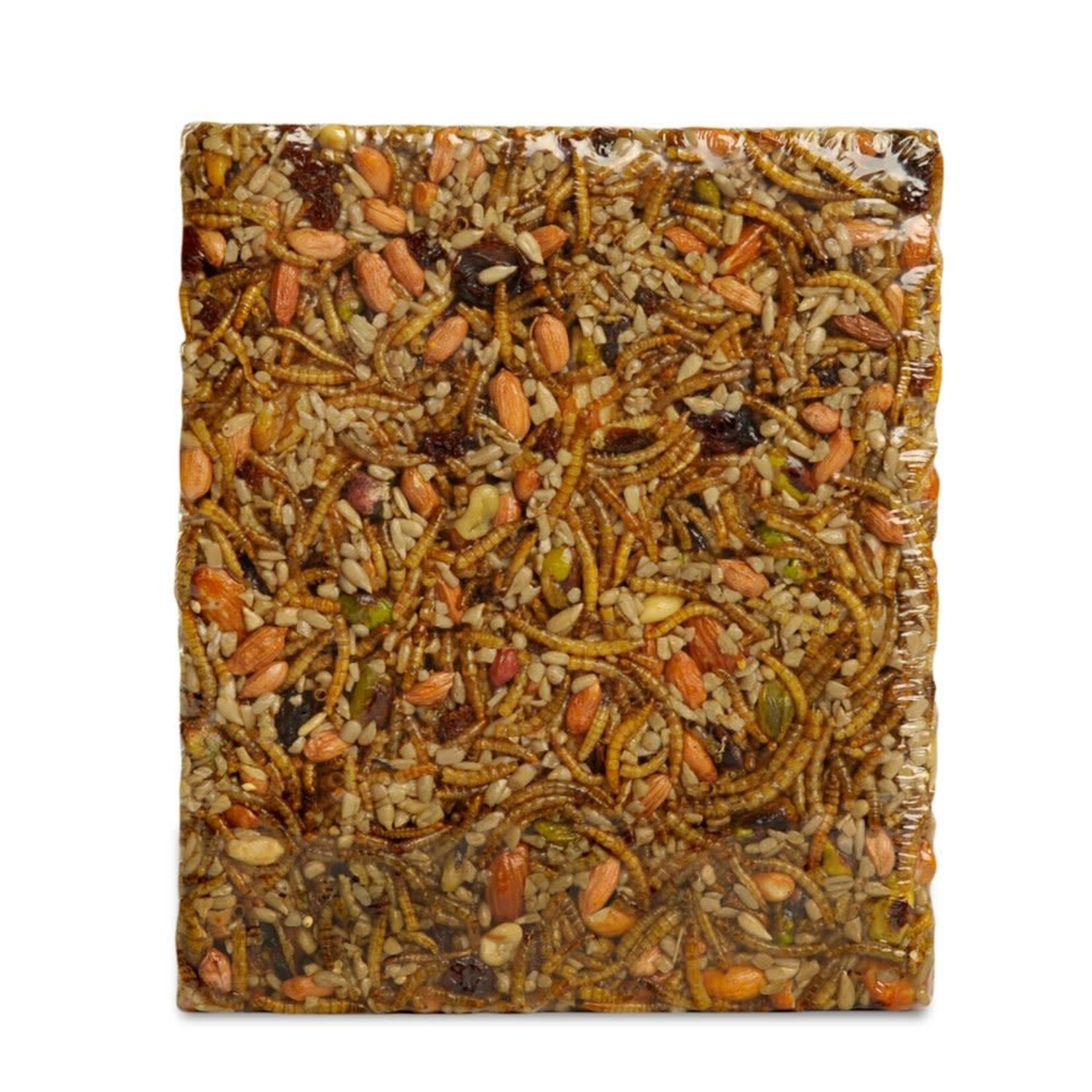 Seed Cake Bugs, Nuts & Fruit