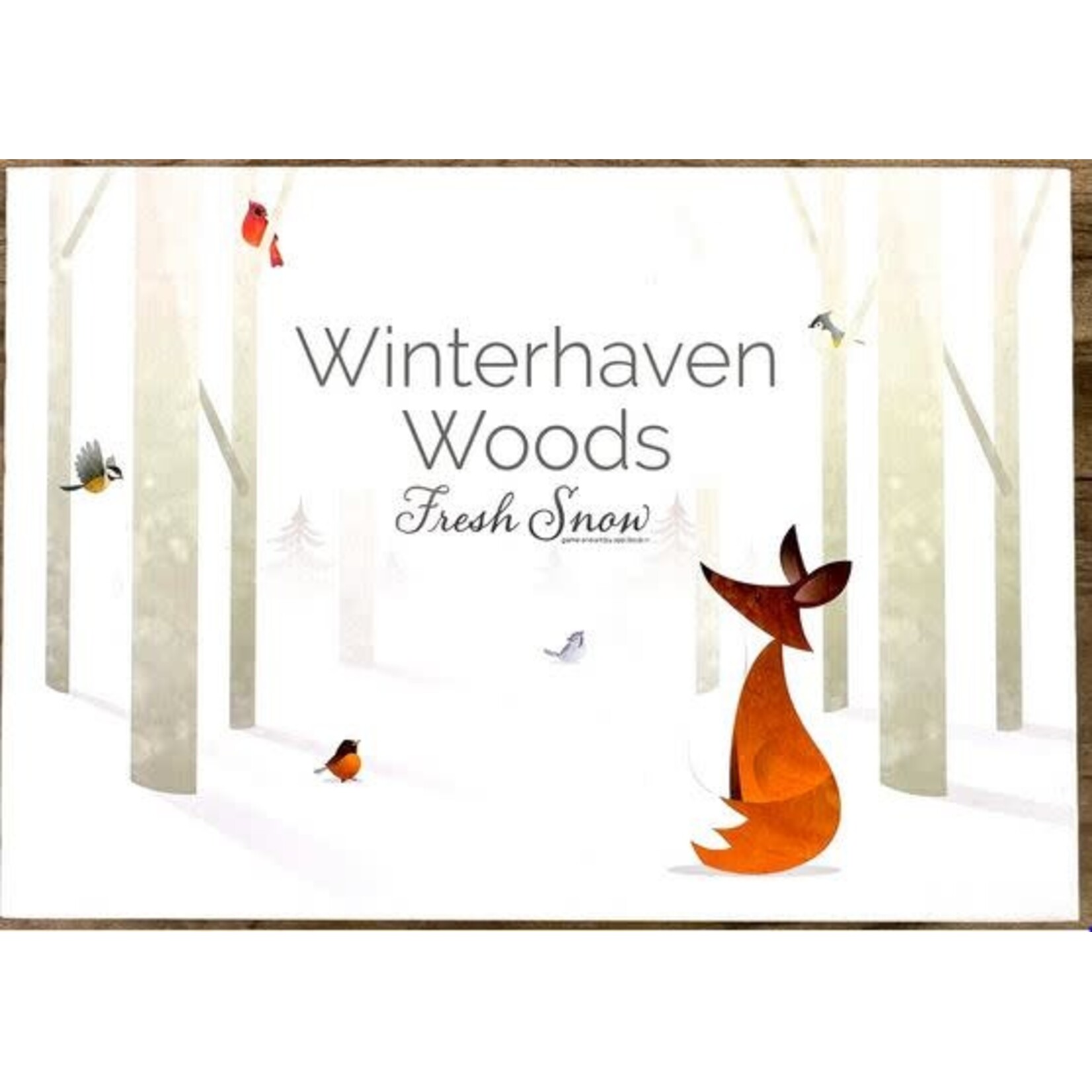 #99677 Winterhaven Woods Dragon Cache Used Game