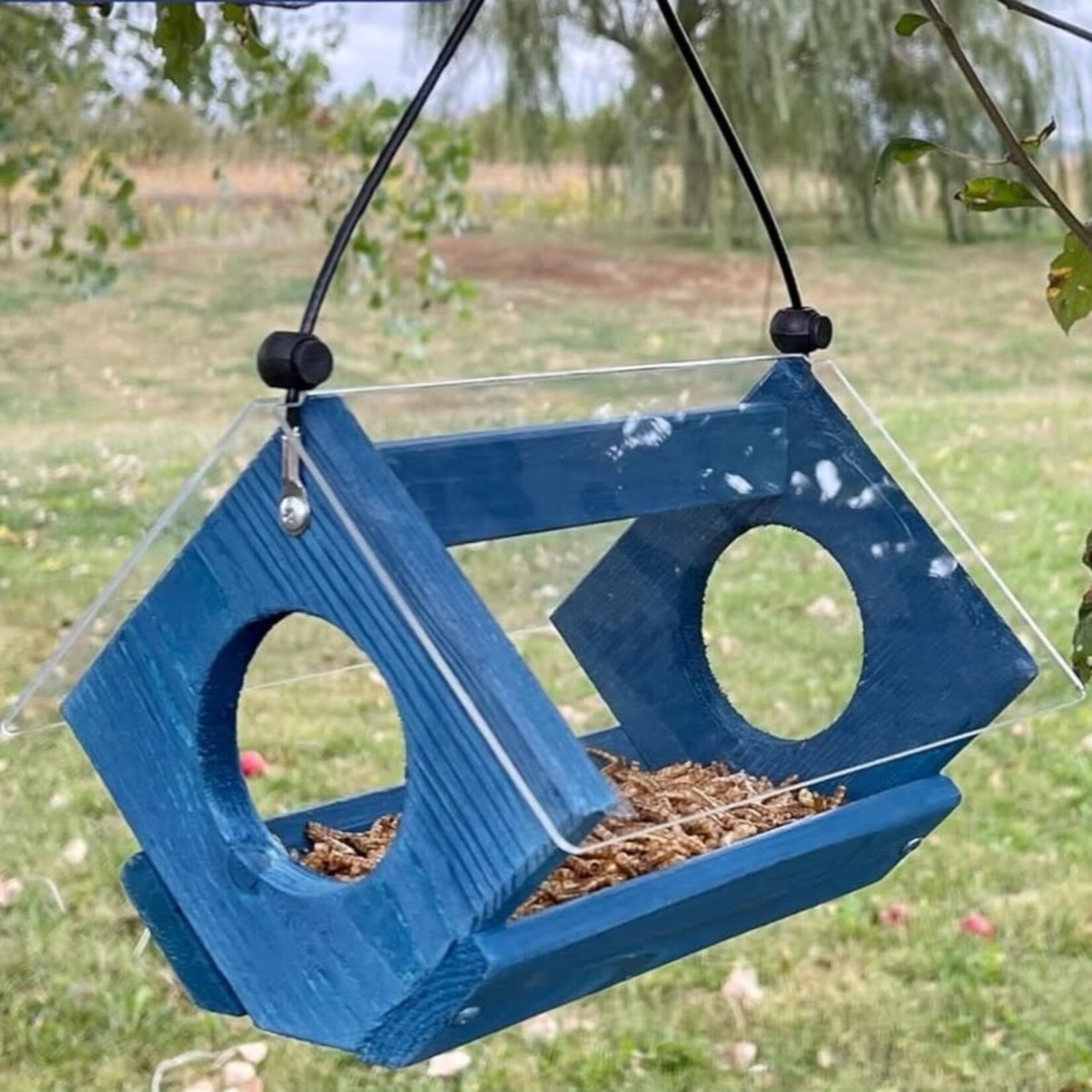 Petite Bluebird Feeder