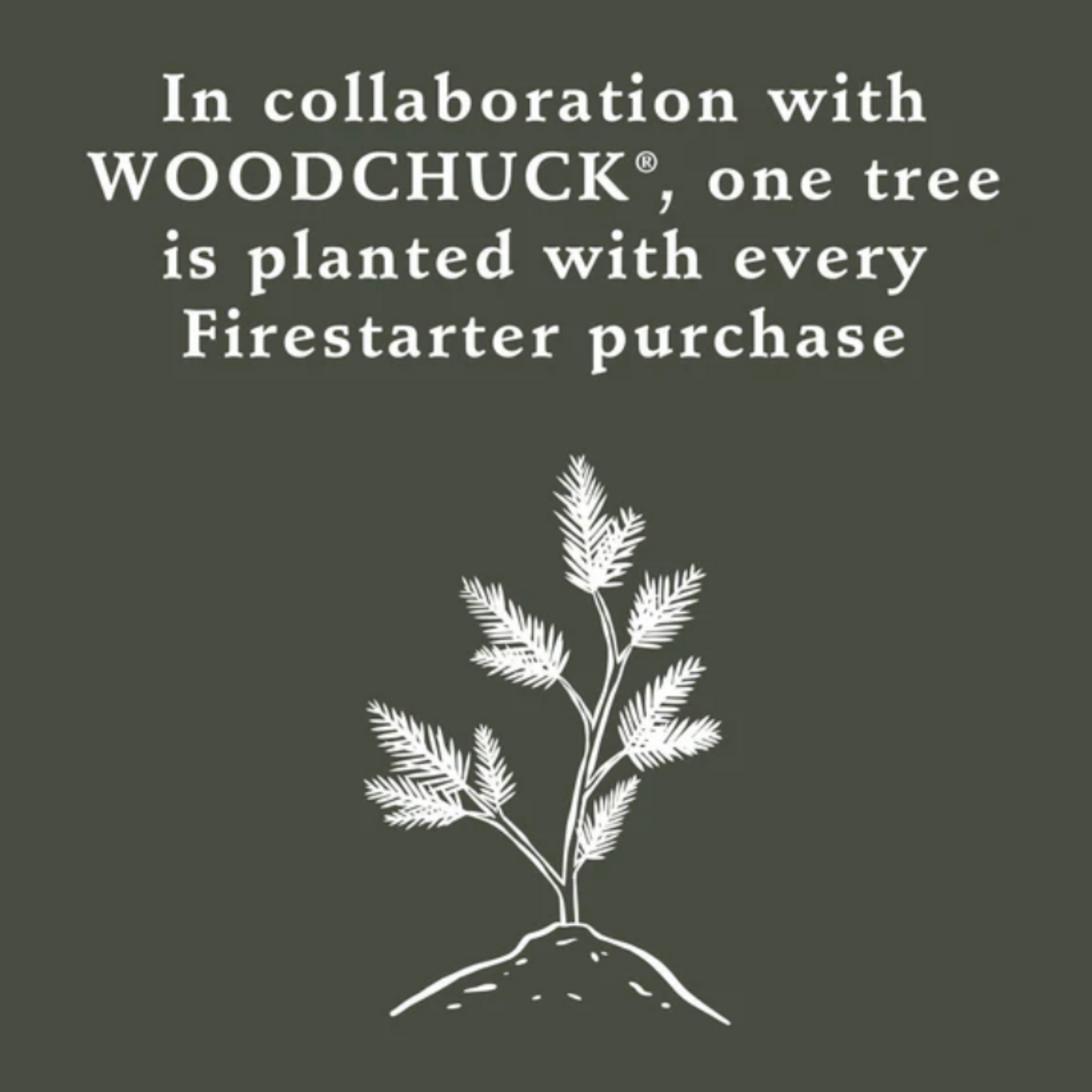 Firestarters - Fireside Spice