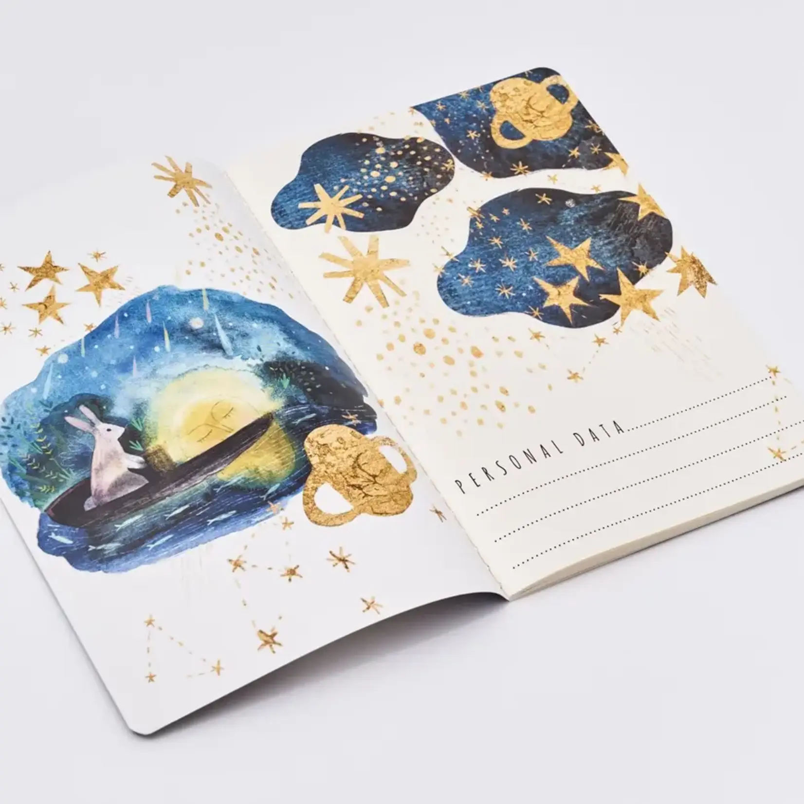 BV by Bruno Visconti Notebook - Dream Notebook