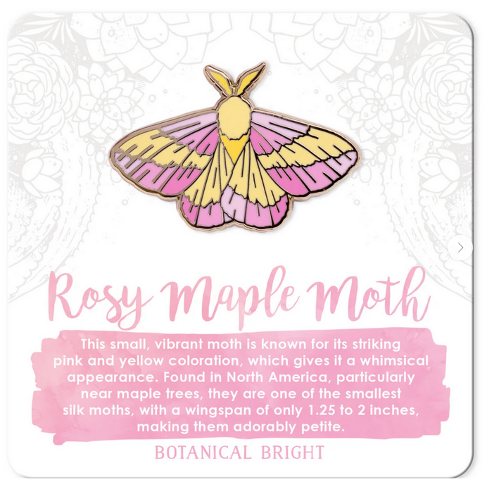 Botanical Bright Enamel Pin - Rosy Maple Moth