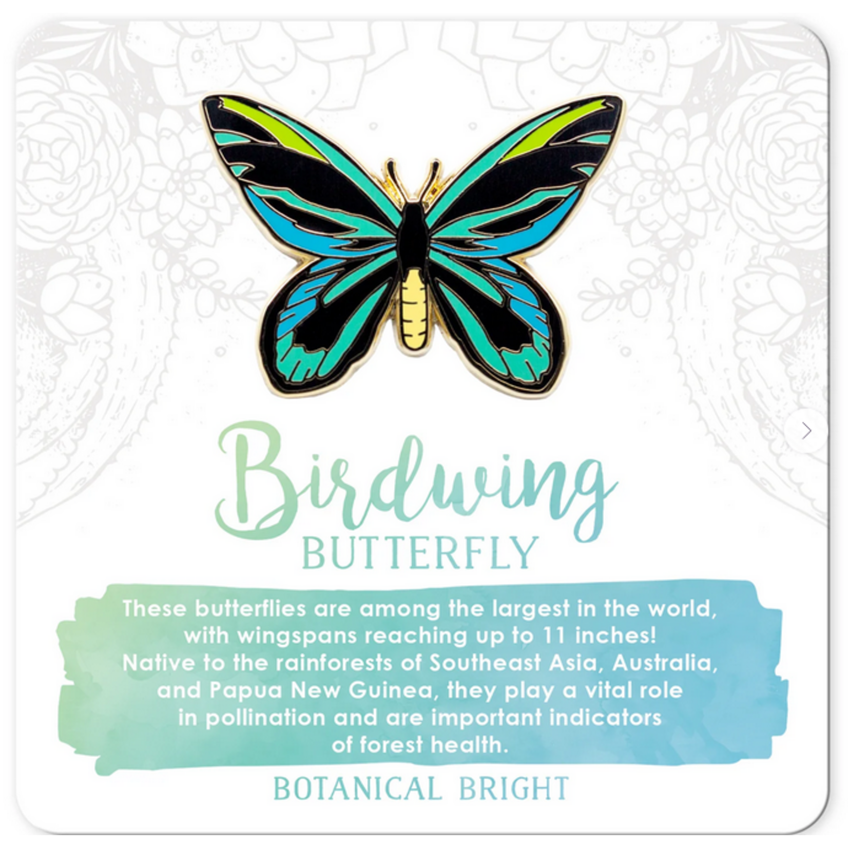 Botanical Bright Enamel Pin - Birdwing Butterfly
