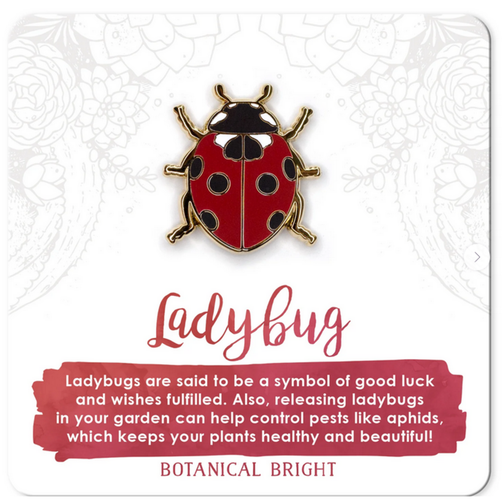 Botanical Bright Enamel Pin - Ladybug