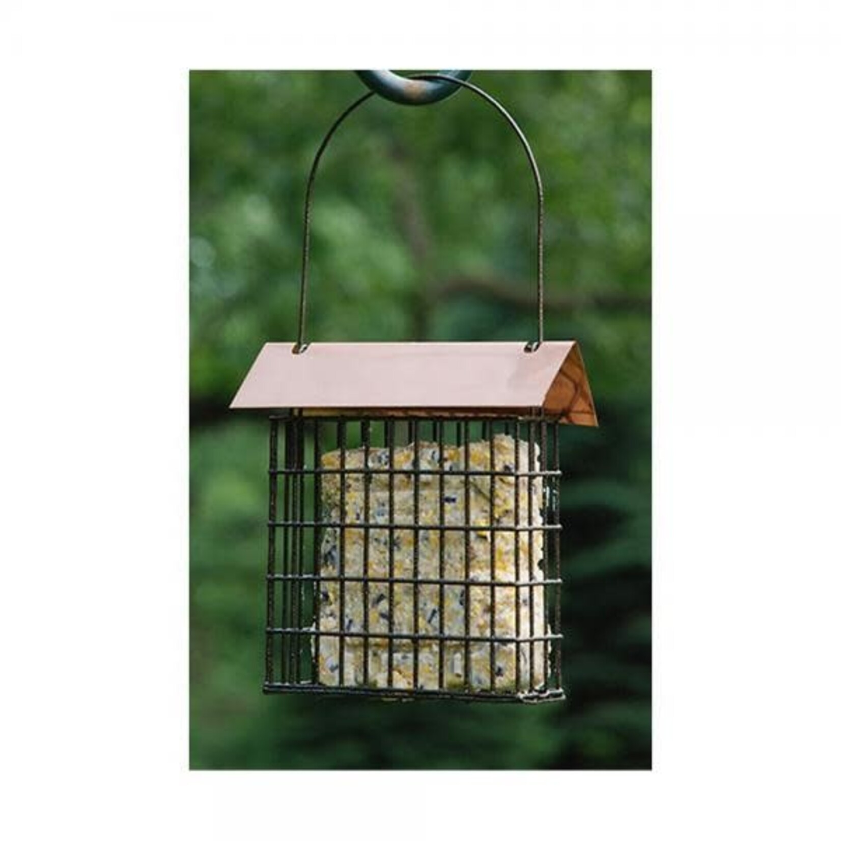 Brushed Copper Top Single Seed Cake or Suet Cage