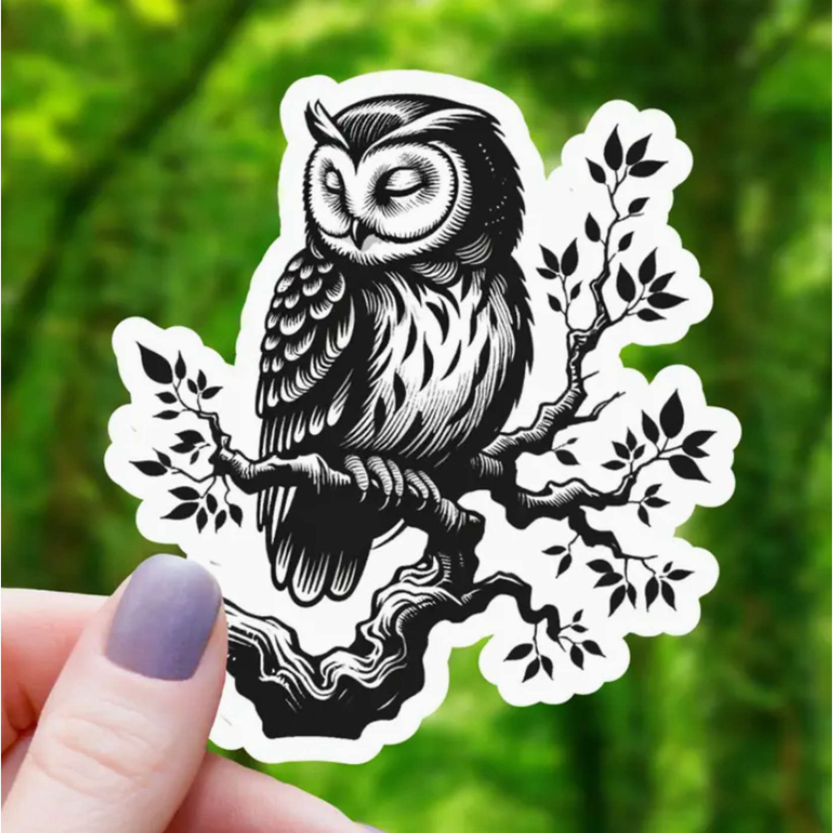 Mimic Gaming Co Sticker: Ink Drawn Sleeping Owl - 3"