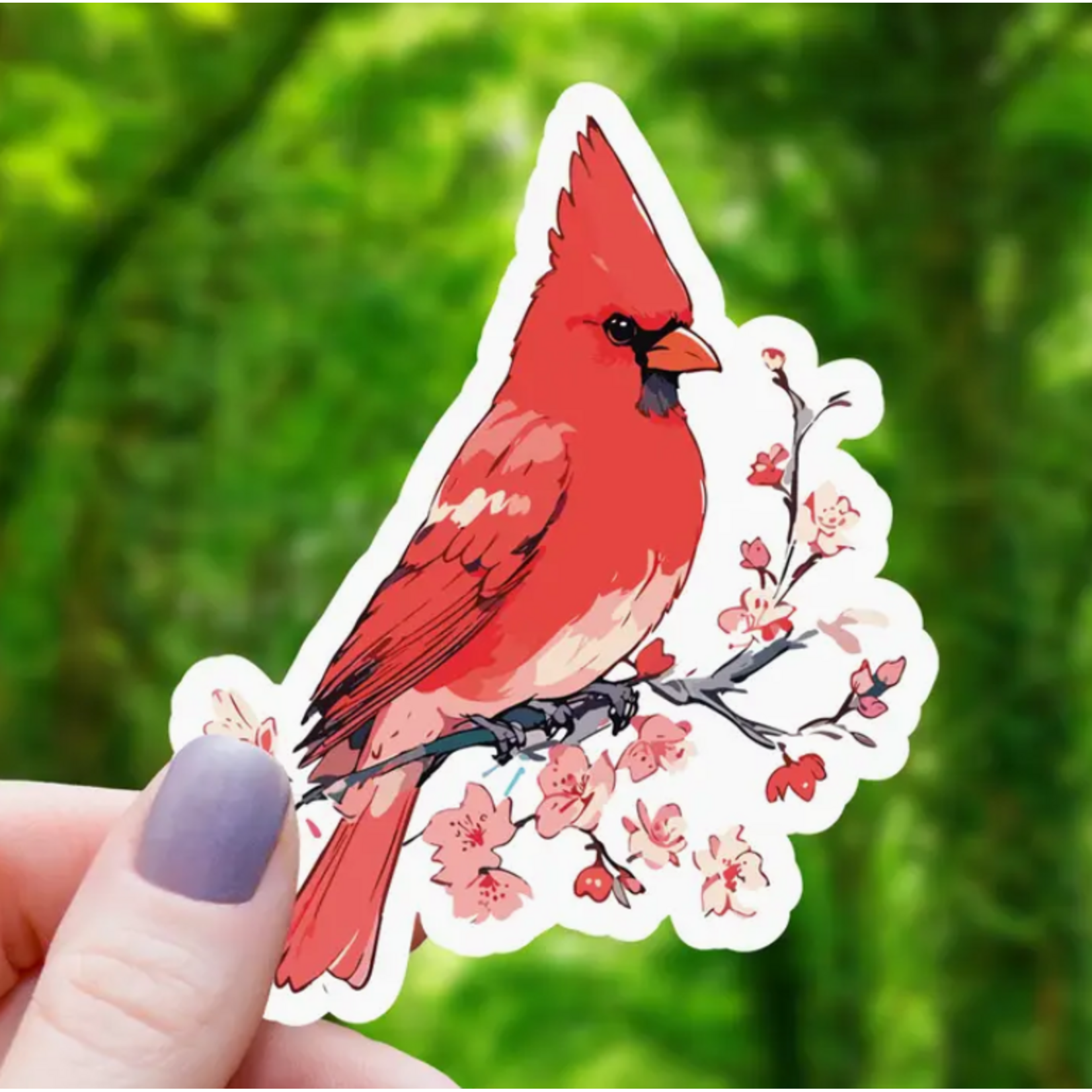 Mimic Gaming Co Sticker: Sakura Cardinal Animal - 3"