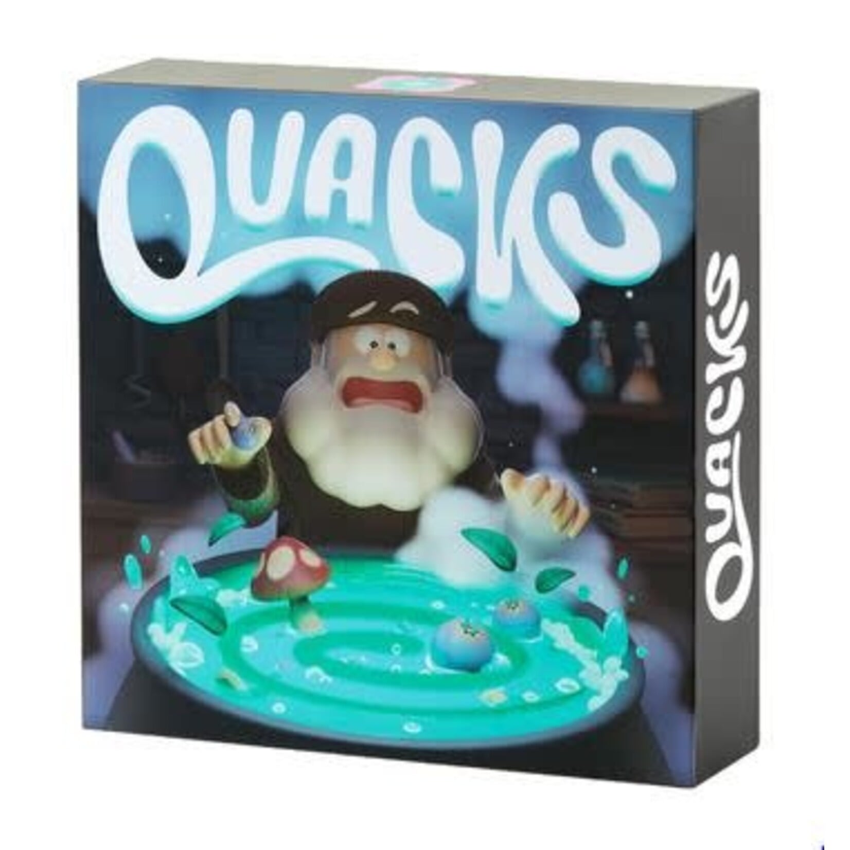 #10593 Quacks Dragon Cache Used Game