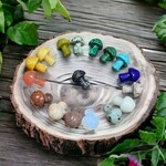 Wax Apothecary Pocket Stone - Mushroom (Assorted)