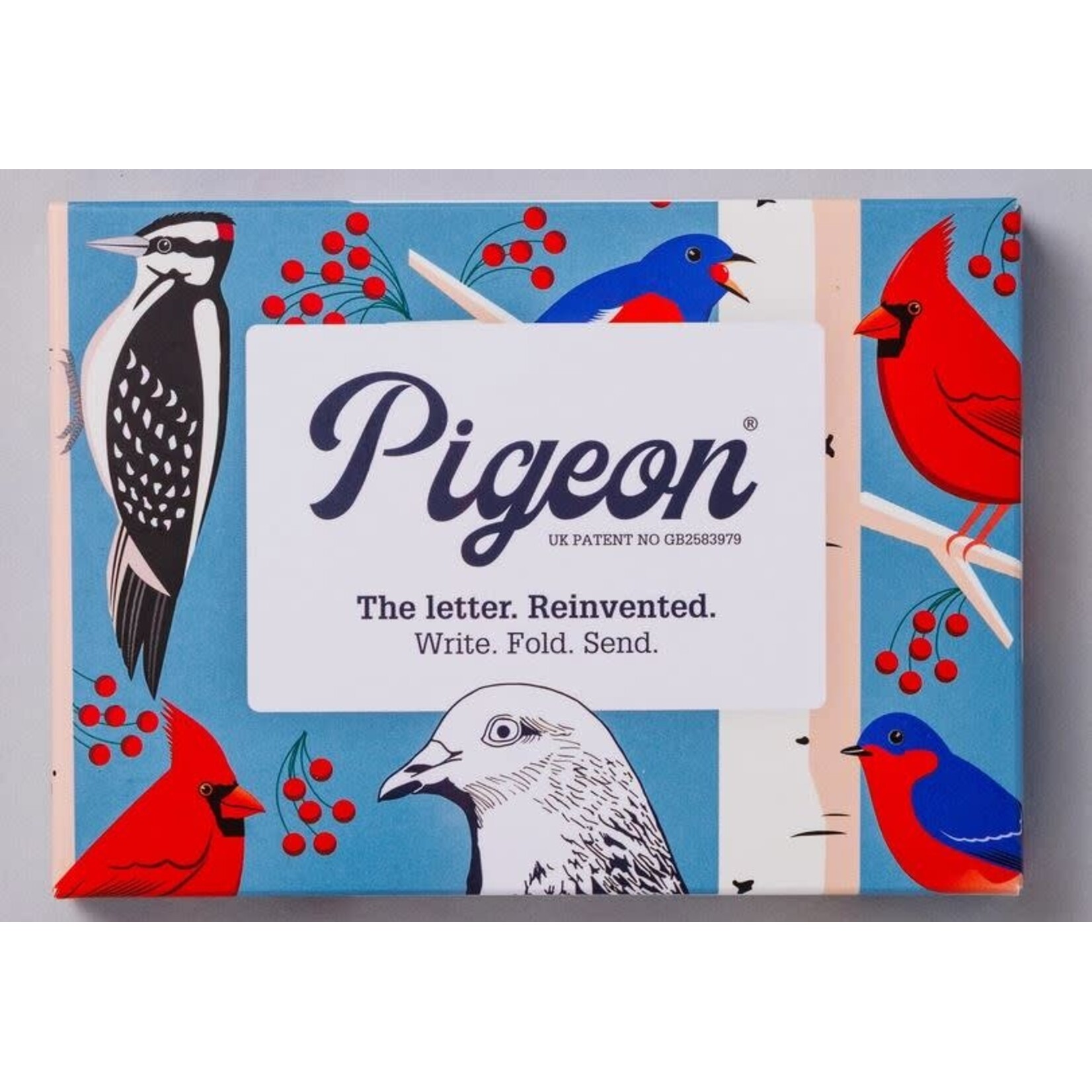 Pigeonposted Folding Letter Set - Carnival of Colour (6 Pack)