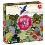 #10555 Harvest Island Dragon Cache Used Game