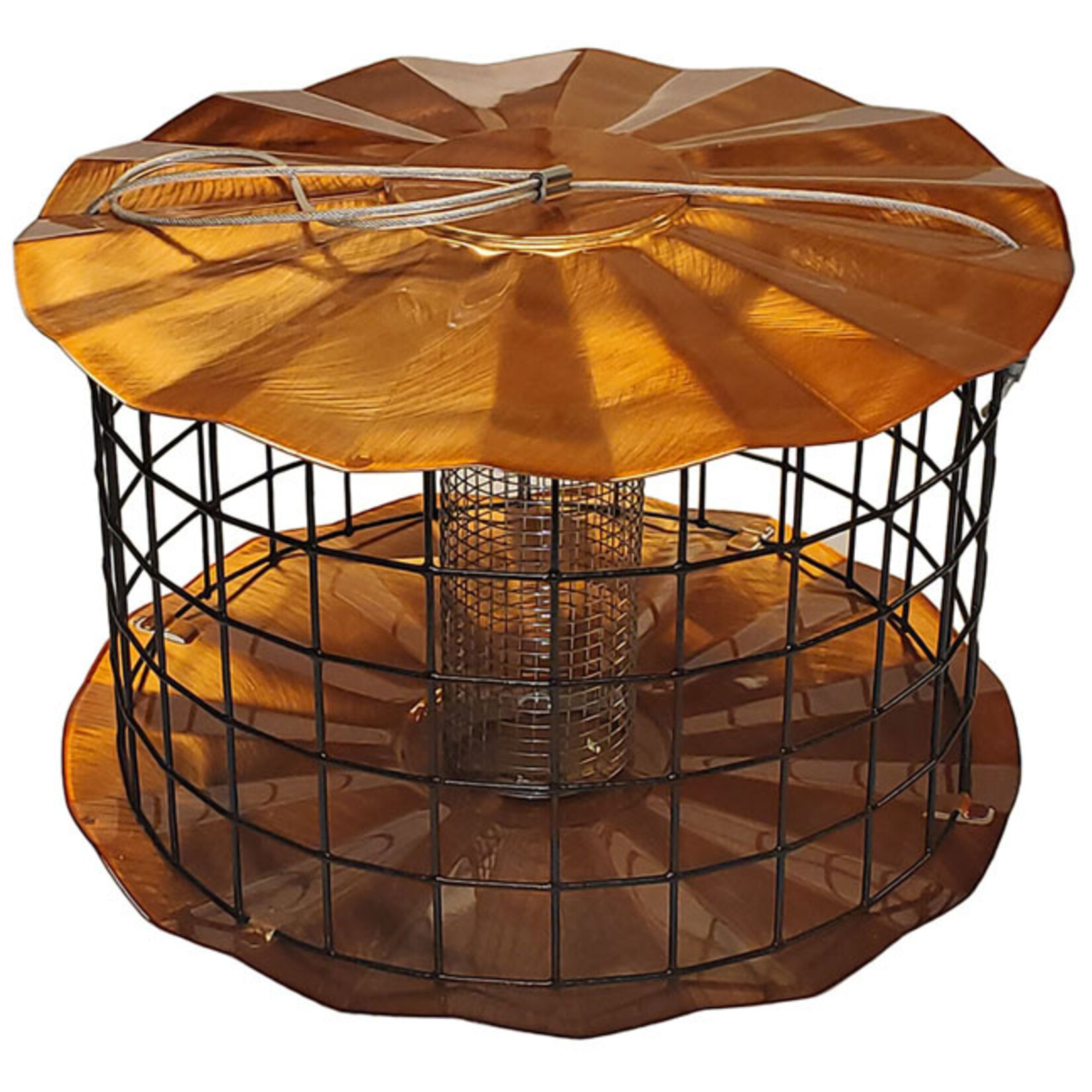 Caged Peanut and Sunflower Feeder