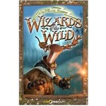 #10513 Wizards of the Wild Dragon Cache Used Game