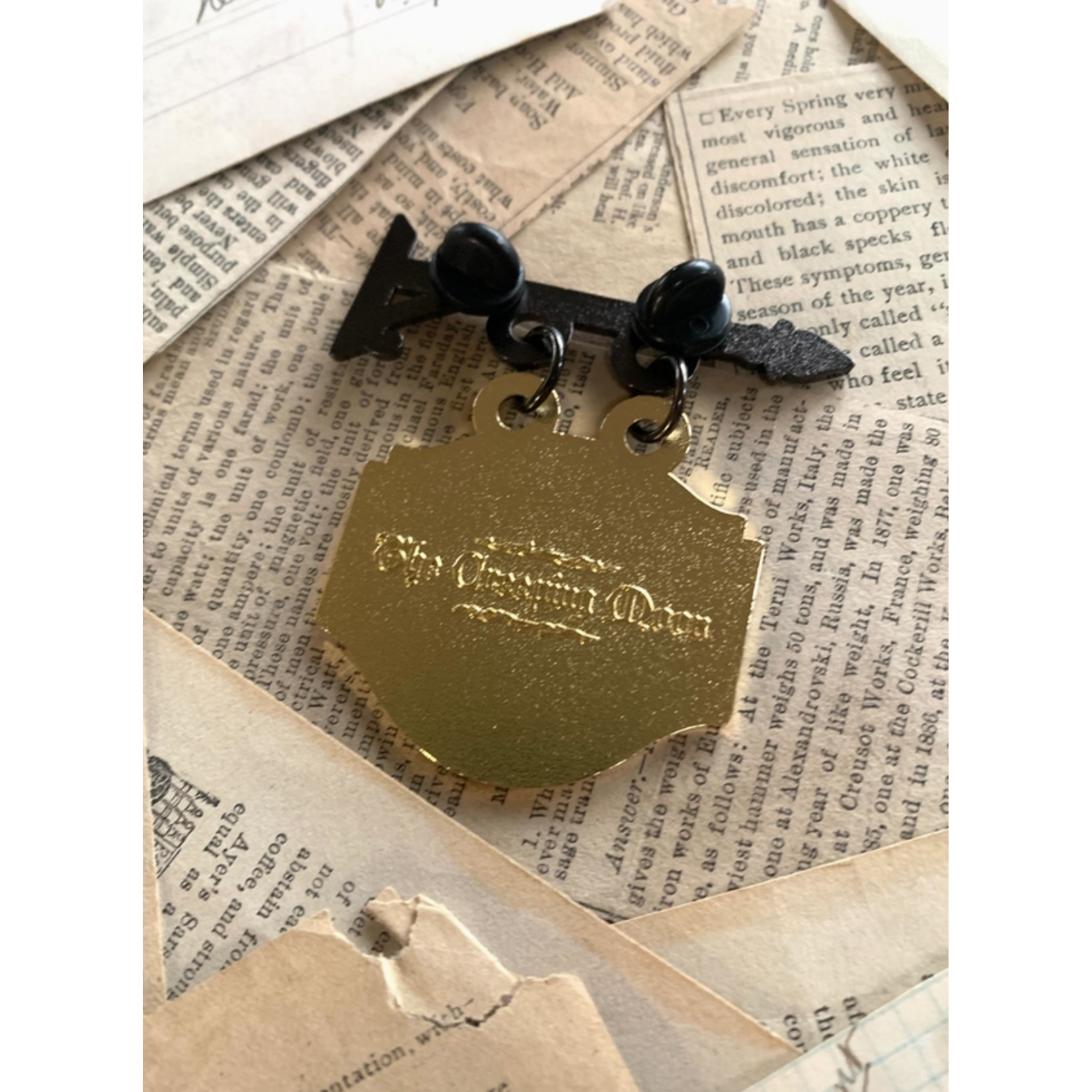 The Creeping Moon Enamel Pin - Apothecary Shop Sign