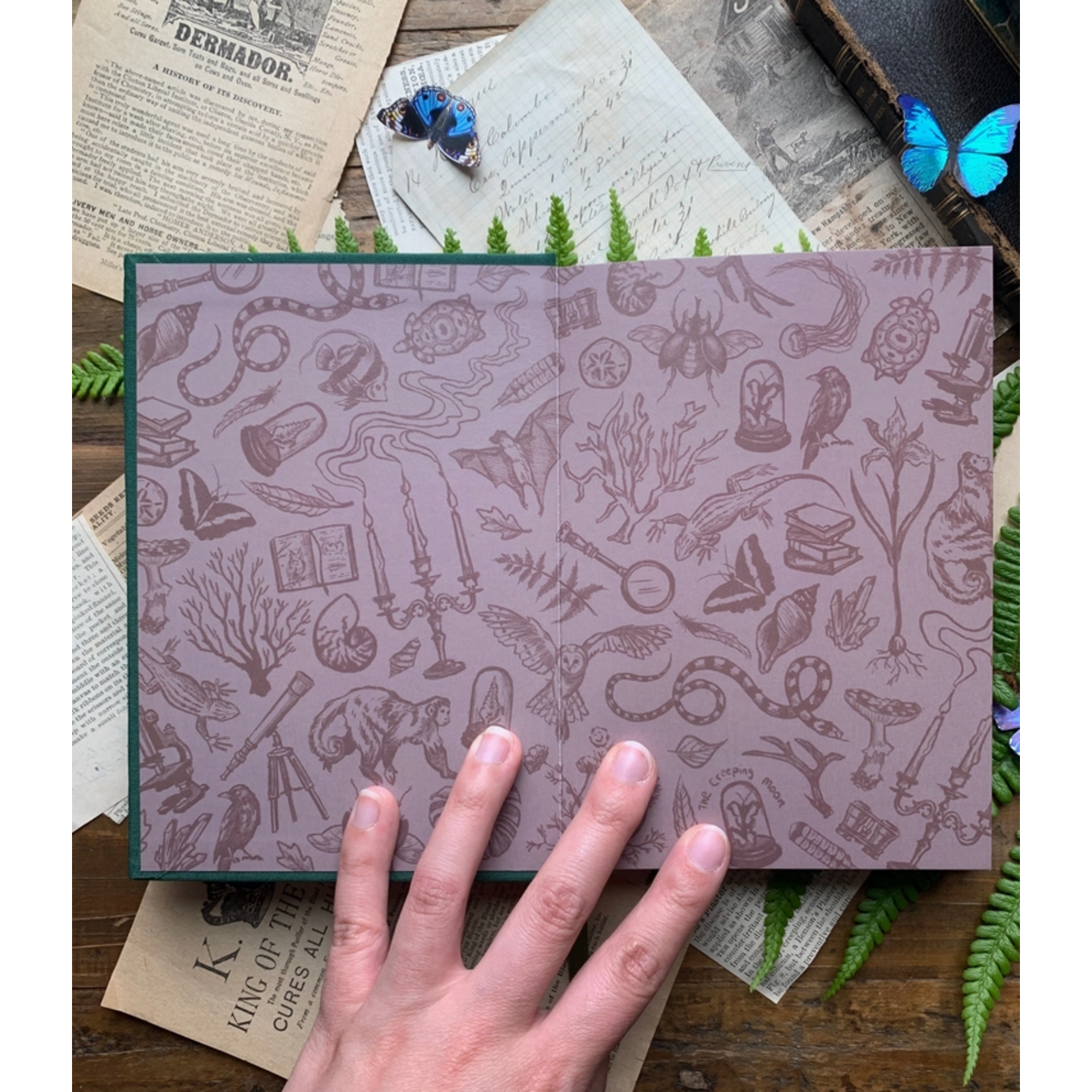 The Creeping Moon Journal - The Botanist - Watercolor Sketchbook - B6  300gsm