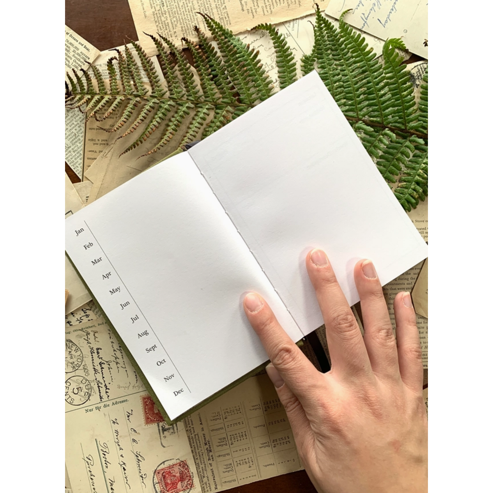 The Creeping Moon Journal - Foraging Field Pocket Journal - A6 120gsm White Paper