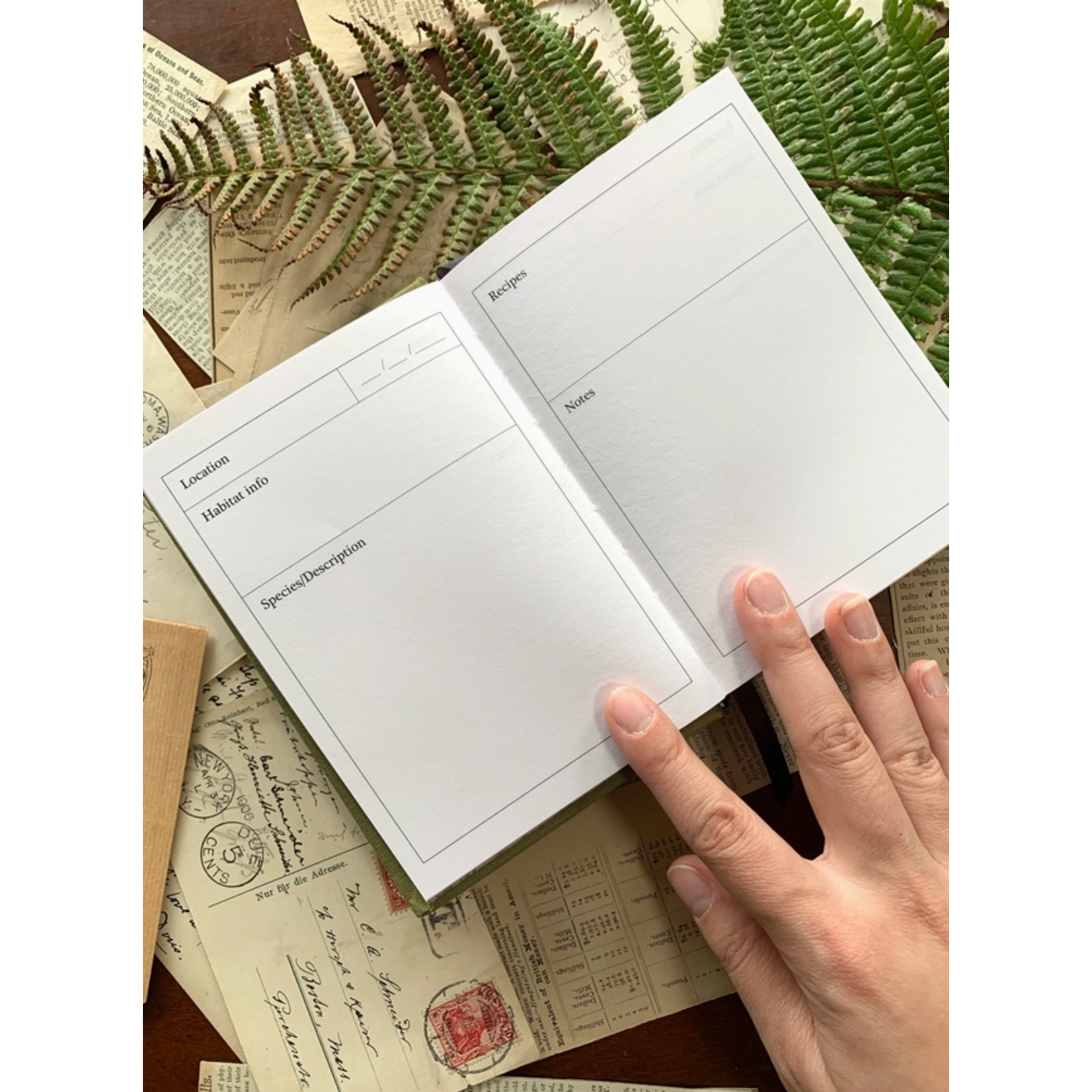 The Creeping Moon Journal - Foraging Field Pocket Journal - A6 120gsm White Paper