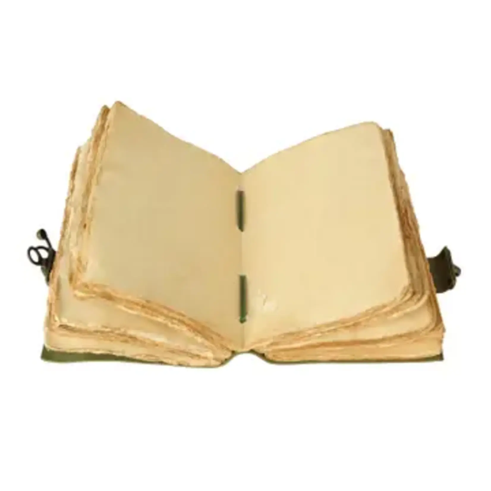 Immart Global LLC Leather Journal - Side Lock - Green - 8x6 in