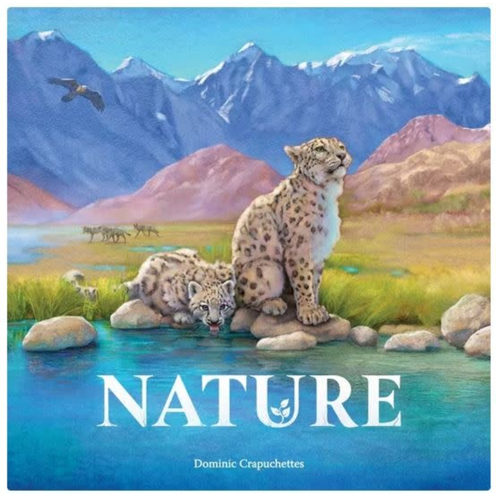 #10498 Nature Dragon Cache Used Game