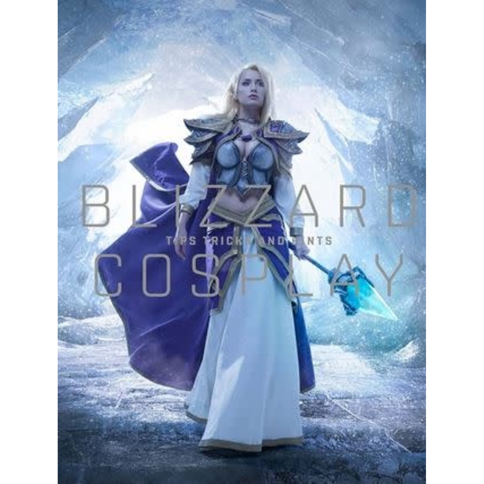 #10495 Blizzard Tips, Tricks and Hints Cosplay Dragon Cache Used Game