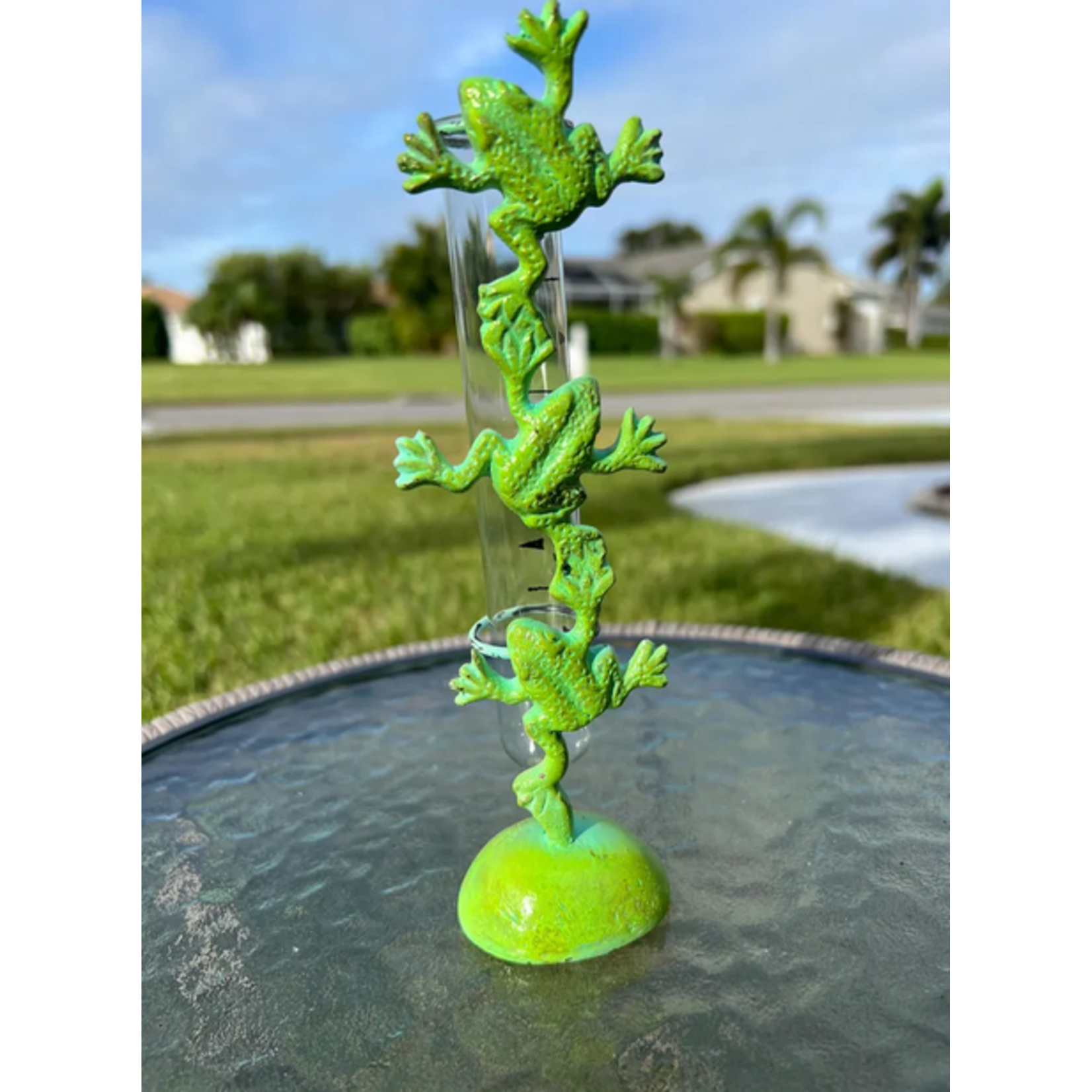 Rain Gauge - Brass Climbing Frogs