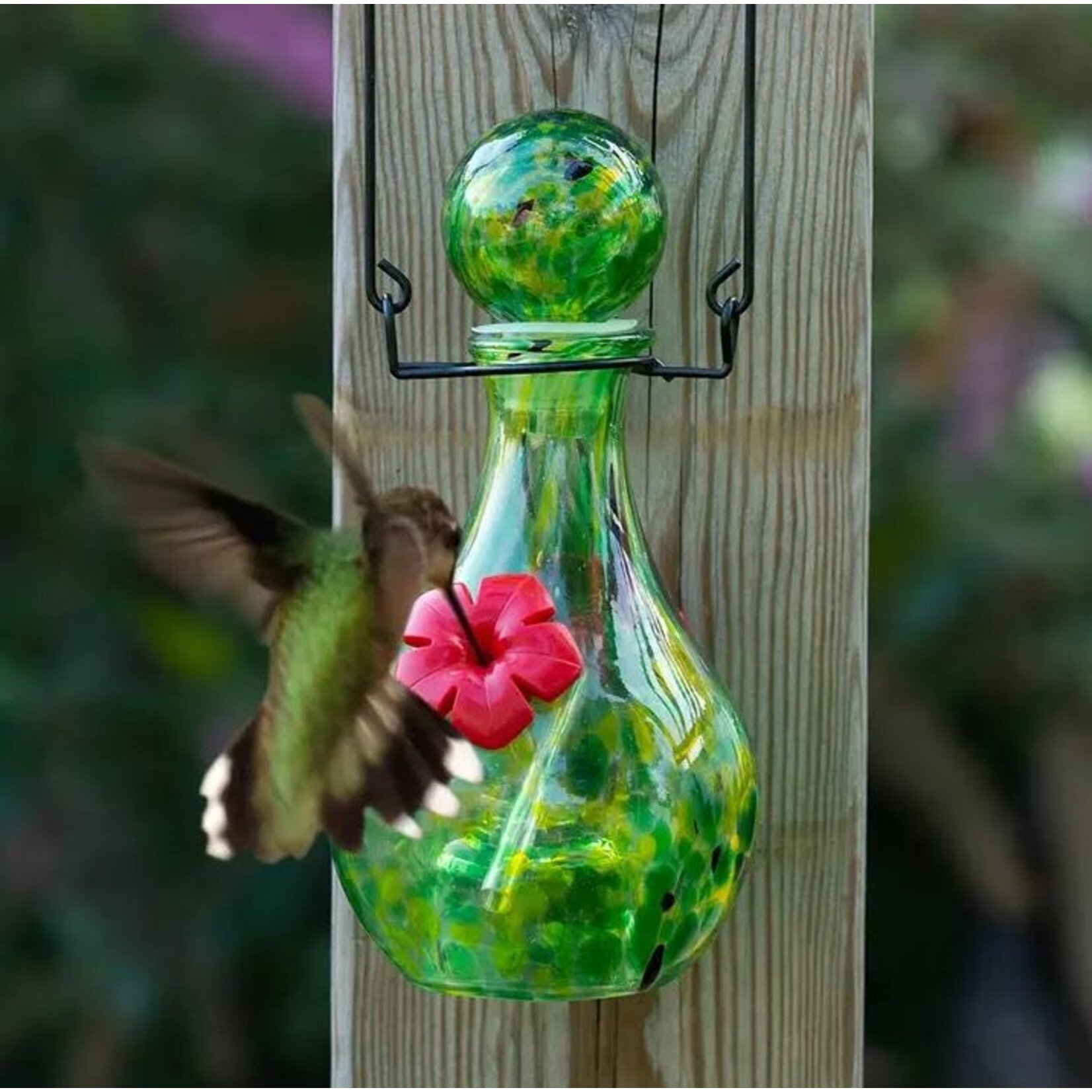 Luna Lite Glass Vase Hummingbird Feeder - Jupiter