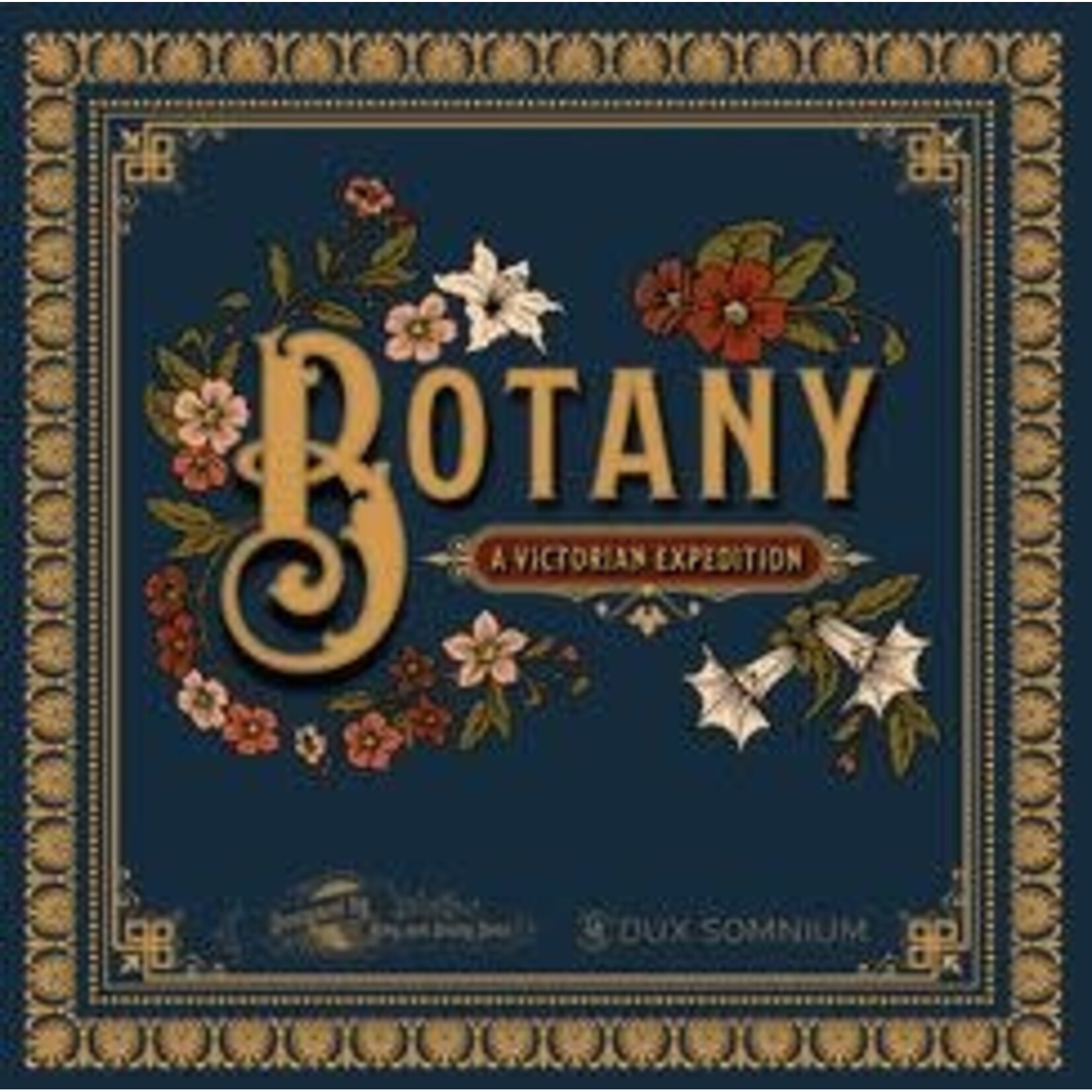 #10425 Botany Dragon Cache Used Game