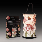 Modgy Origami Lantern - Jacob Marrel Tulips