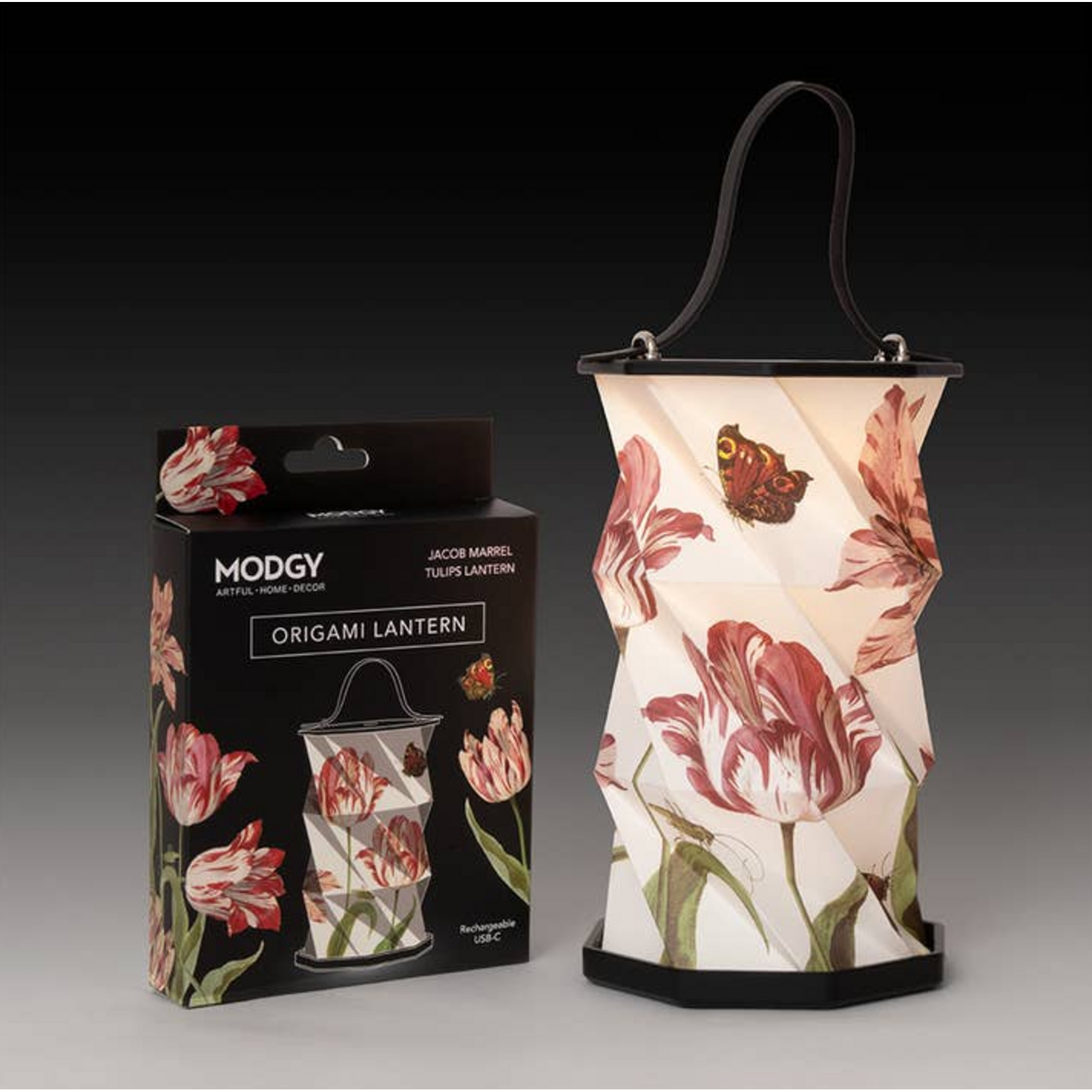 Modgy Origami Lantern - Jacob Marrel Tulips