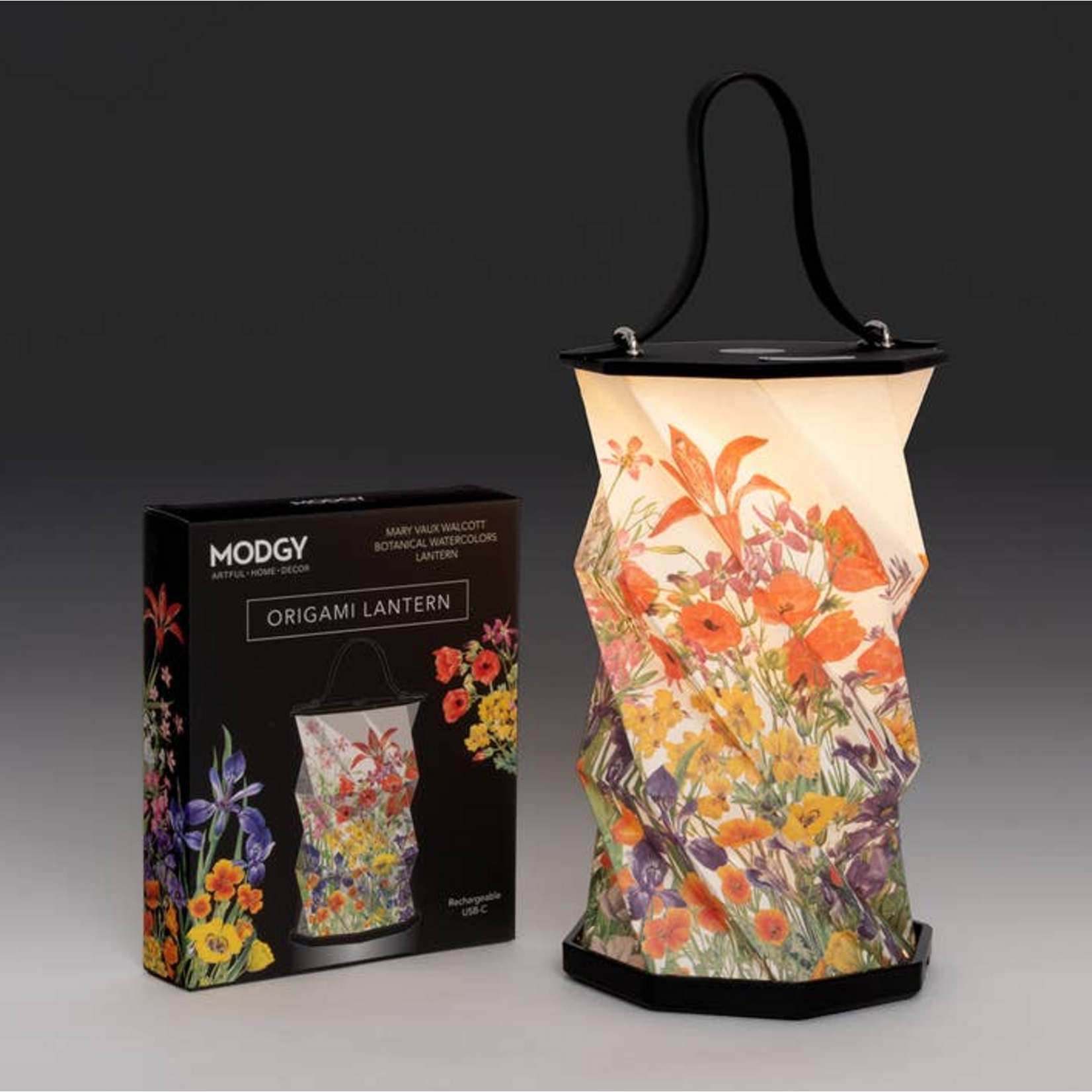 Modgy Origami Lantern - Mary Vaux Walcott Botanical Watercolor