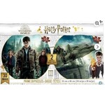 #10643 Harry Potter 3-D Puzzle Dragon Cache Used Game