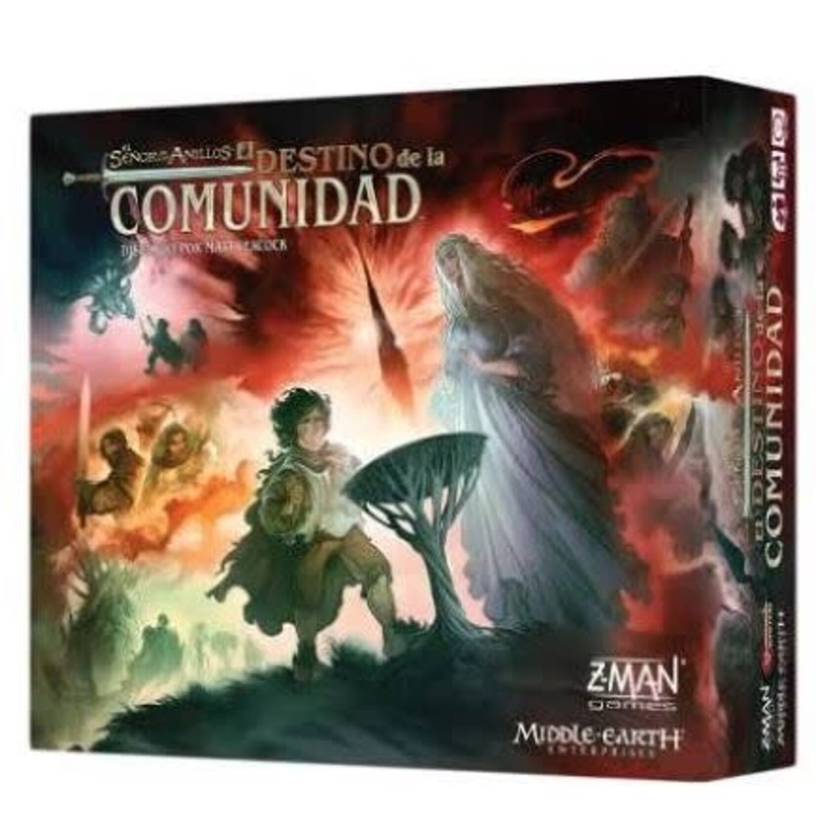 #10287 Lord of the Rings: Fate of the Fellowship Dragon Cache Used Game