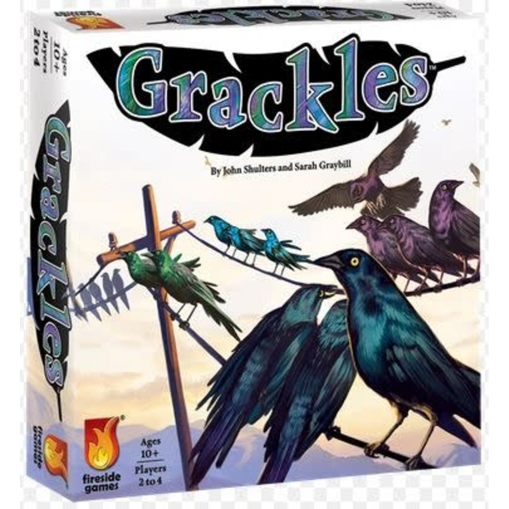 #10279 Grackles Dragon Cache Used Game