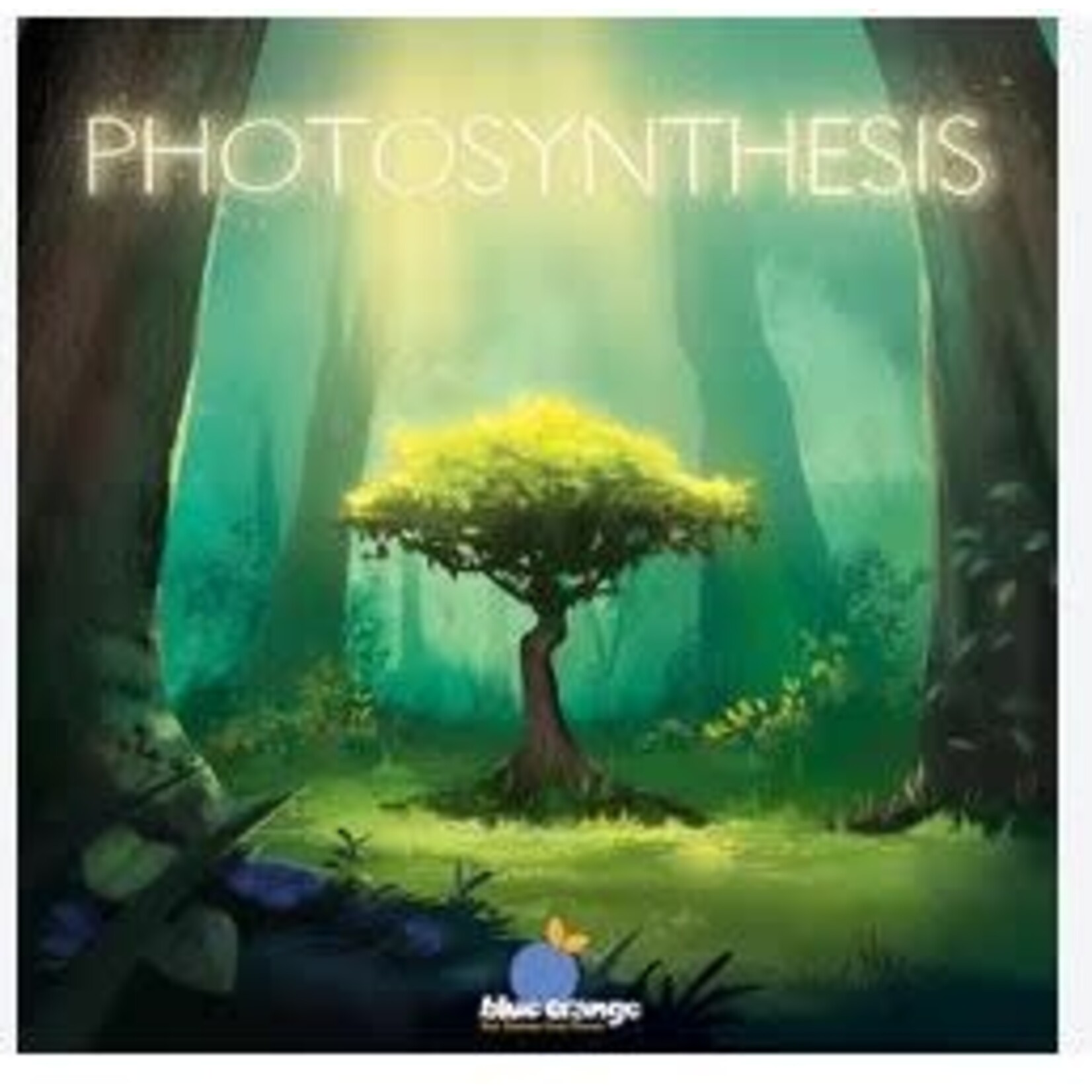 #10274 Photosynthesis Dragon Cache Used Game