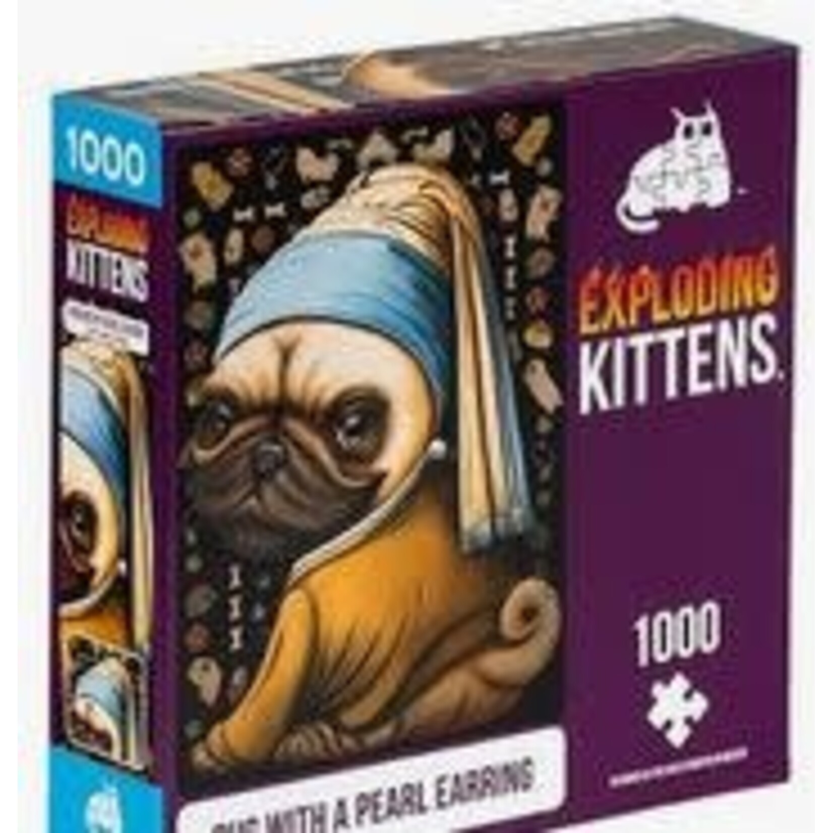#10186 Exploding Kittens Pug With a Pearl Earring Dragon Cache Used Games