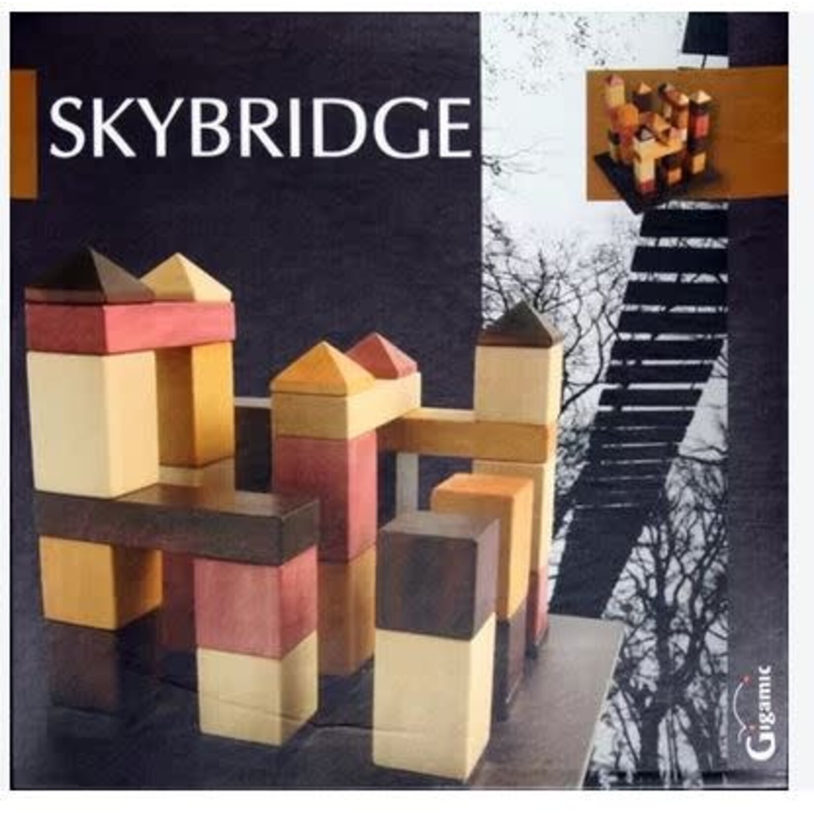 #10148 Skybridge Dragon Cache Used Game