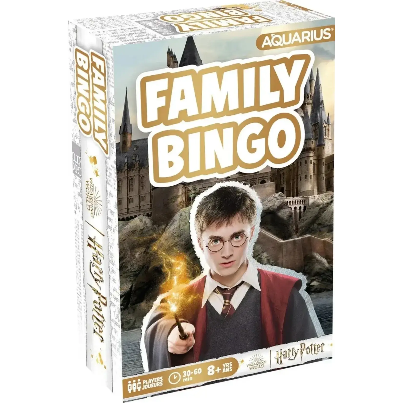 #10111 Harry Potter Family Bingo Dragon Cache Used Game