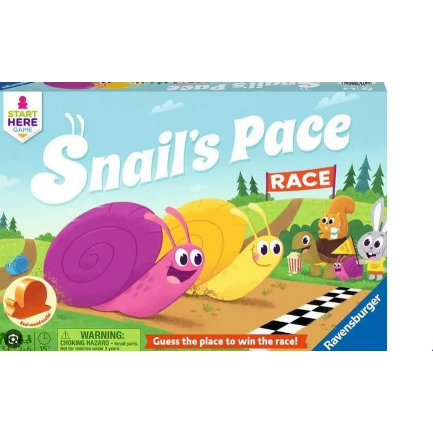 #10109 Snail's Pace Dragon Cache Used Game